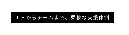 １人からチームまで 柔軟な支援体制