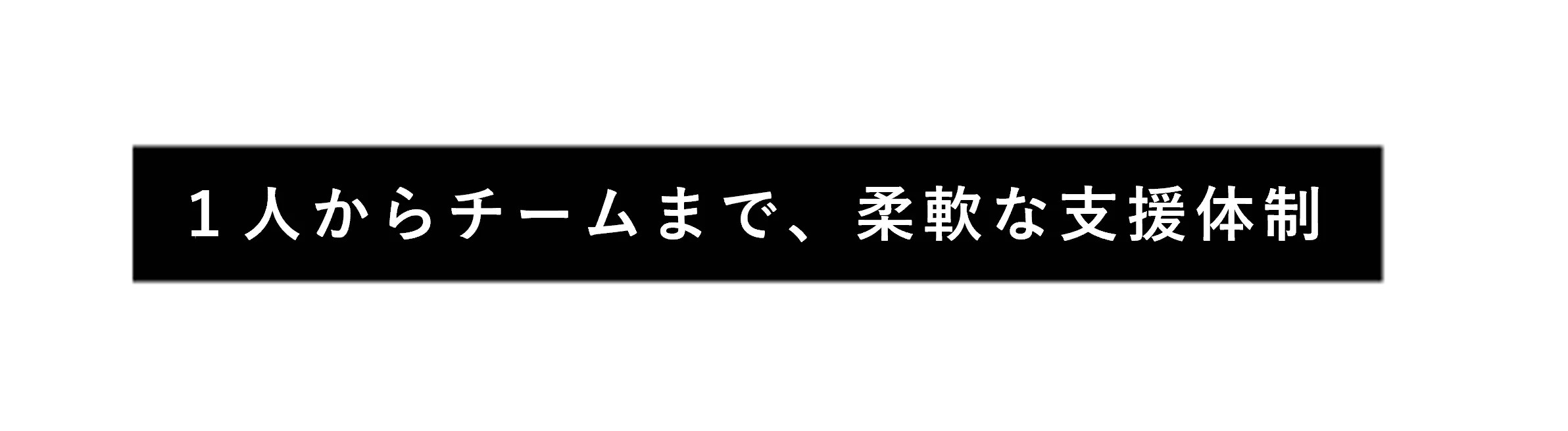 １人からチームまで 柔軟な支援体制