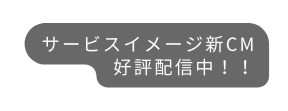 サービスイメージCM YouTubeで好評公開中